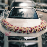 ماشین عروس سفید صورتی آرالیا قلبی